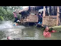Download Lagu The flood came again... Linda decided to build a new house to protect the boy, harvest mangoes