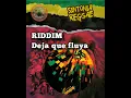 RIDDIM - Deja que fluya