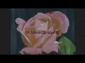 Romantic Garbage