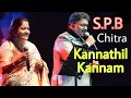 Kannathil Kannam vaikka S.P.B & KS Chitra song Tamil HD