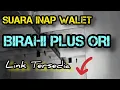 Download Lagu SUARA INAP WALET TERBAIK Download Lagu SUARA INAP WALET TERBAIK