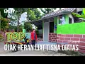 Lagu Ojak Dibikin Kaget Aja Sama Kelakuan Tisna - TUKANG OJEK PENGKOLAN
