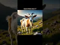 Download Lagu Qur'anic Ayah. Surah An-Nahl, Ayat 5-7. #quran #surahannahl #ayah #asmr #motivation #islam