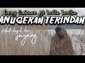 Download Lagu Denny Caknan Feat Bella Bonita - SINARENGAN Official Music Video