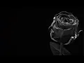 TIPE-X - Mawar Hitam - Lirik Video