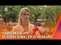 Download Lagu Verdachte in zaak Gino verdacht van moord| SHOWNIEUWS