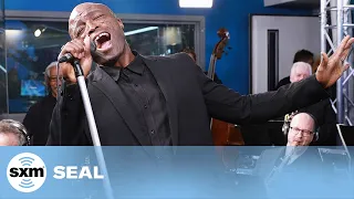 seal kiss from a rose live siriusxm 