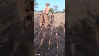 يا سيدي من الصعب جد ا أن تصبح حامل ماء هذه الفتاة ستذهب بقبعة وإناء مملوء بالماء 