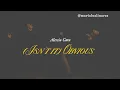 🧑‍🎓 (isn't it) obvious - alessia cara (lyrics/español) 🧑‍🎓