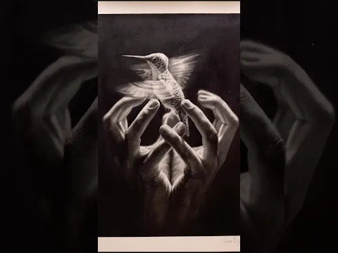 Humming bird drawing with sound