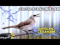 Download Lagu ROPELAN TRUCUK GACOR...FULL 24 JAM TANPA HENTI