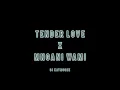 Dj Kaymoree - Tender Love (ShaSha) x Mngani Wami (JayJay) Full Remix