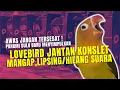 Download Lagu PENYEBAB LOVEBIRD JANTAN MANGAP,LIPSING/HILANG SUARA I VERSI GENDUB RHN
