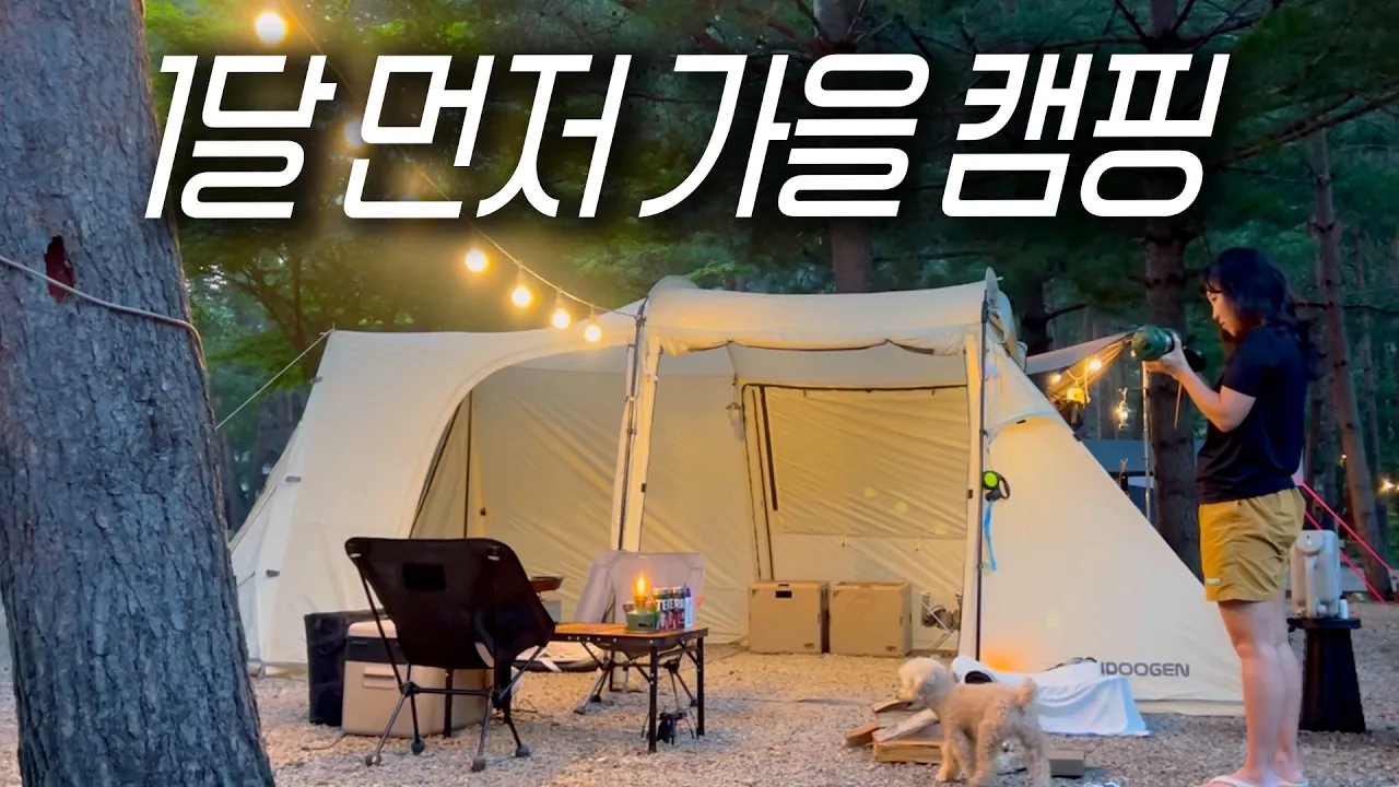 낮에는 뜨거웠는데... 밤이 되면 20도가 되는 마법의 캠핑장에서 강아지와 1박하기/ 모빌리티 A5 썸네일