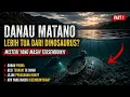 DANAU MATANO Rahasia Terpendam yang Belum Terungkap Misteri Indonesia Part 2