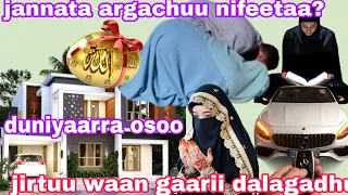 Ustaz Adam Hussen Waa Ee Jannataa Waan Jannata Keessa Jiru Waan Ijji Tee Argitee Hin Beyneetu Jira 