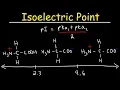 How To Calculate The Isoelectric Point of Amino Acids and Zwitterions