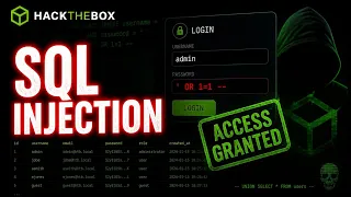 SQL Injection to Admin Login HackTheBox Appointment Walkthrough Beginner