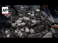 Marine heat wave brings more stingrays to Southern California beaches