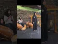 Download Lagu TUKANG TEROMPET PENCA PEREMPUAN!! INI KEREN