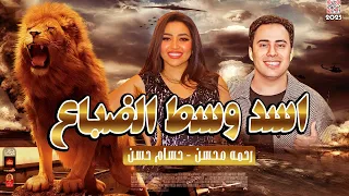 الترند   اسد وسط الضباع        رحمه محسن والعالمى حسام حسن      دندنها