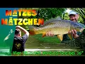 Download Lagu Matzes Mätzchen - krasse Fänge in nur vier Stunden am Vereinssee bei Bullenhitze - 36 Grad