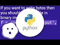How to write bytes to file