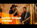Download Lagu Cara Feio -  Fernando e Sorocaba (LETRA) {BIRO MUSIC}