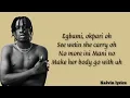 Fireboy DML _-_ Vibration (lyrics video)