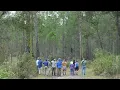 Visit Buck Bay Flatwoods Preserve in Alachua County