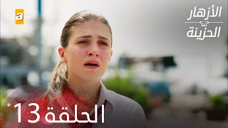 الأزهار الحزينة الحلقة 13 كاملة Kırgın Çiçekler 