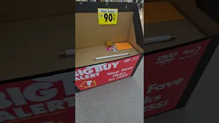 Last day open at the Closing Big Lots Bay Shore NY