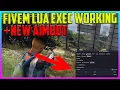FiveM Lua Exec New Aimbot OP Premium Lua Menu by Eulen gg