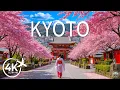 Kyoto Japan Spring 4K Tranquil Sakura Temples Sacred Shrines Timeless Stillness