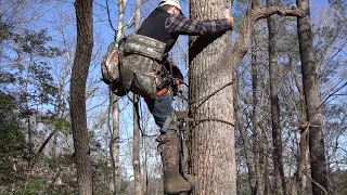 Wild Edge Step Review