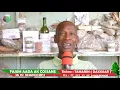 Download Lagu 0009:FAJUM AADA AK COSSANE: (Médecine Traditionnelle et Pharmacop) Tamarin-DAXXAR avec Dr DIAKHOUMPA