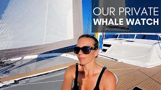 A Whale of a Good Time – A Whale Watch & History at Nantucket Whaling Museum | Harbors Unknown Ep 39