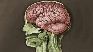 A TikToker Drank 1 Bottle Nutmeg Spice This Is What Happened To His Brain