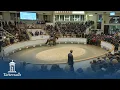 Tattersalls December Mares Sale 2025 Day 1 Review