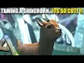 TAMING A SHINEHORN THEY ARE SO CUTE ARK SURVIVAL EVOLVED EP9