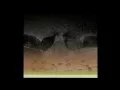Kiss the rain Generative Art