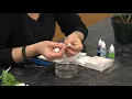 Episode 5 Making cross-sections by hand stems