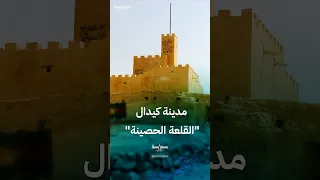                                     دندنها