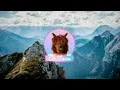 Ajmw - Nights In West - LofiHipHop Music ChillHop Chillout Chill Music for Studying & Relax🦙 🎧