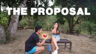THE PROPOSAL