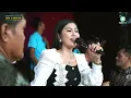 Download Lagu TURU BARENG - DEWI DIVA - NEW ARWANA LIVE PEGAMBIRAN CIREBON