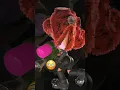 Octolings Are The True Material Girls