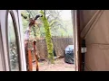 Tour of the Dome For Rent Near Ukiah CA