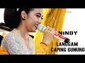 Download Lagu TOMBO KESEL || LANGGAM CAPING GUNUNG  NINDY SHAKA