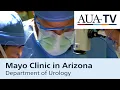 Mayo Clinic in Arizona Department of Urology